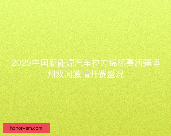 2025中国新能源汽车拉力锦标赛新疆博州双河激情开赛盛况
